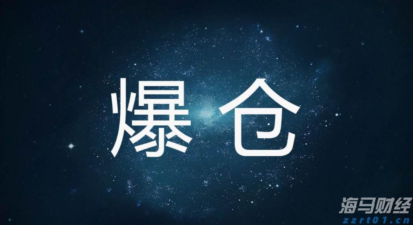 AI应用领域的“牛市”持续加码!Applovin(APP.US)在“AI+数字广告”赛道中表现超预期,净利润激增164%