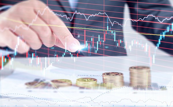 2024年度全国三八红旗手谢冰梅:“回游青年”反哺桑梓 挑起乡村振兴担子