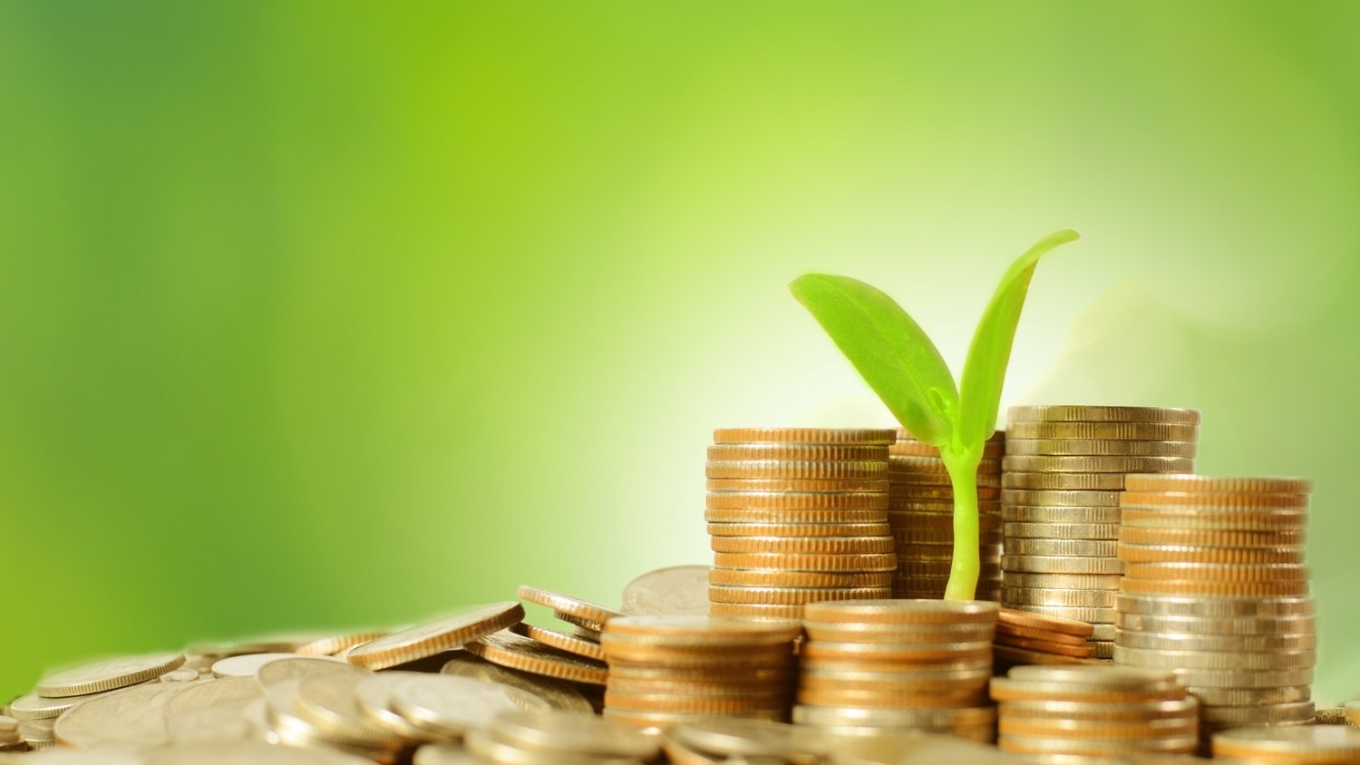 全民国家安全教育日宣传兴业银行合肥分行在行动