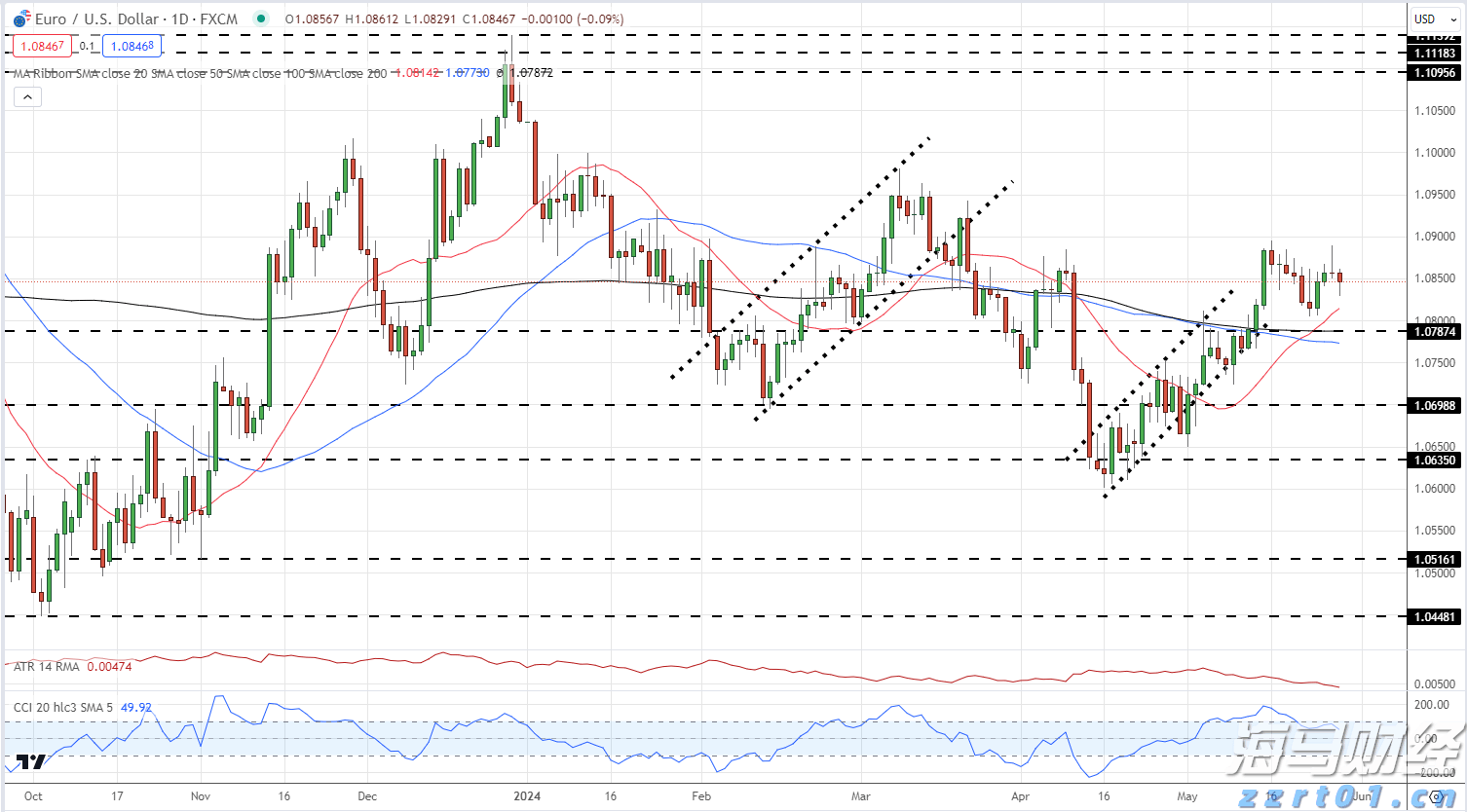 平南县放生23尾国家二级保护动物斑鳠